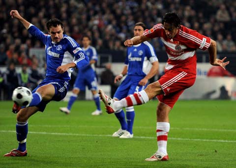 纳赛尔的强 纳赛尔的强